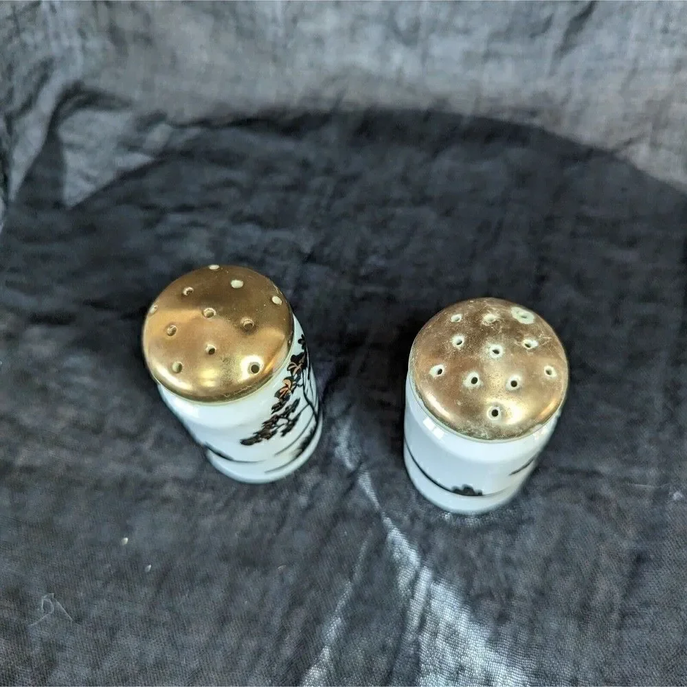 Hand painted Vintage Japanese Salt and Pepper Shaker Set Bonsai Japanese Maple
